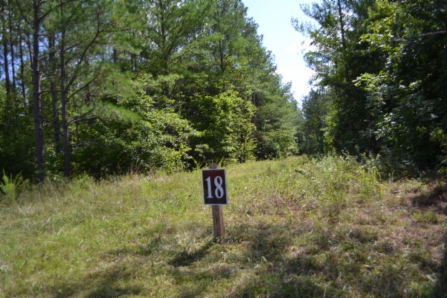 318 Rhodas Way Property Photo 14