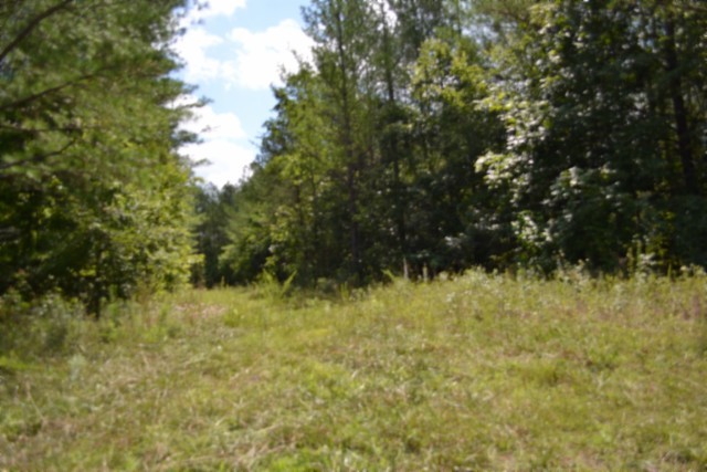 318 Rhodas Way Property Photo 17