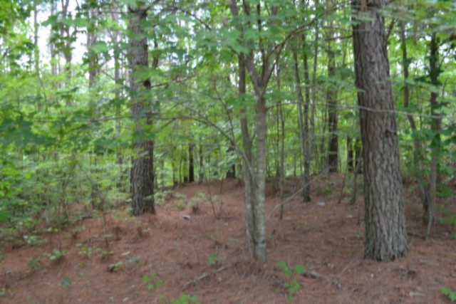 318 Rhodas Way Property Photo 24