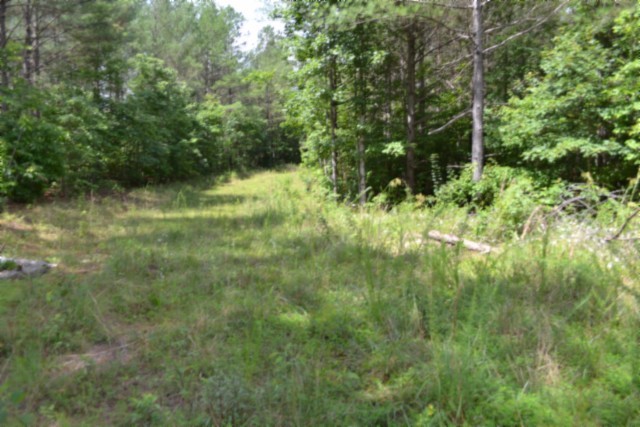 318 Rhodas Way Property Photo 52