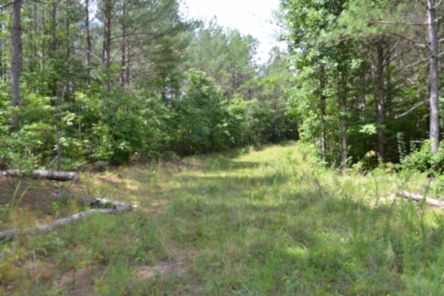 318 Rhodas Way Property Photo 53