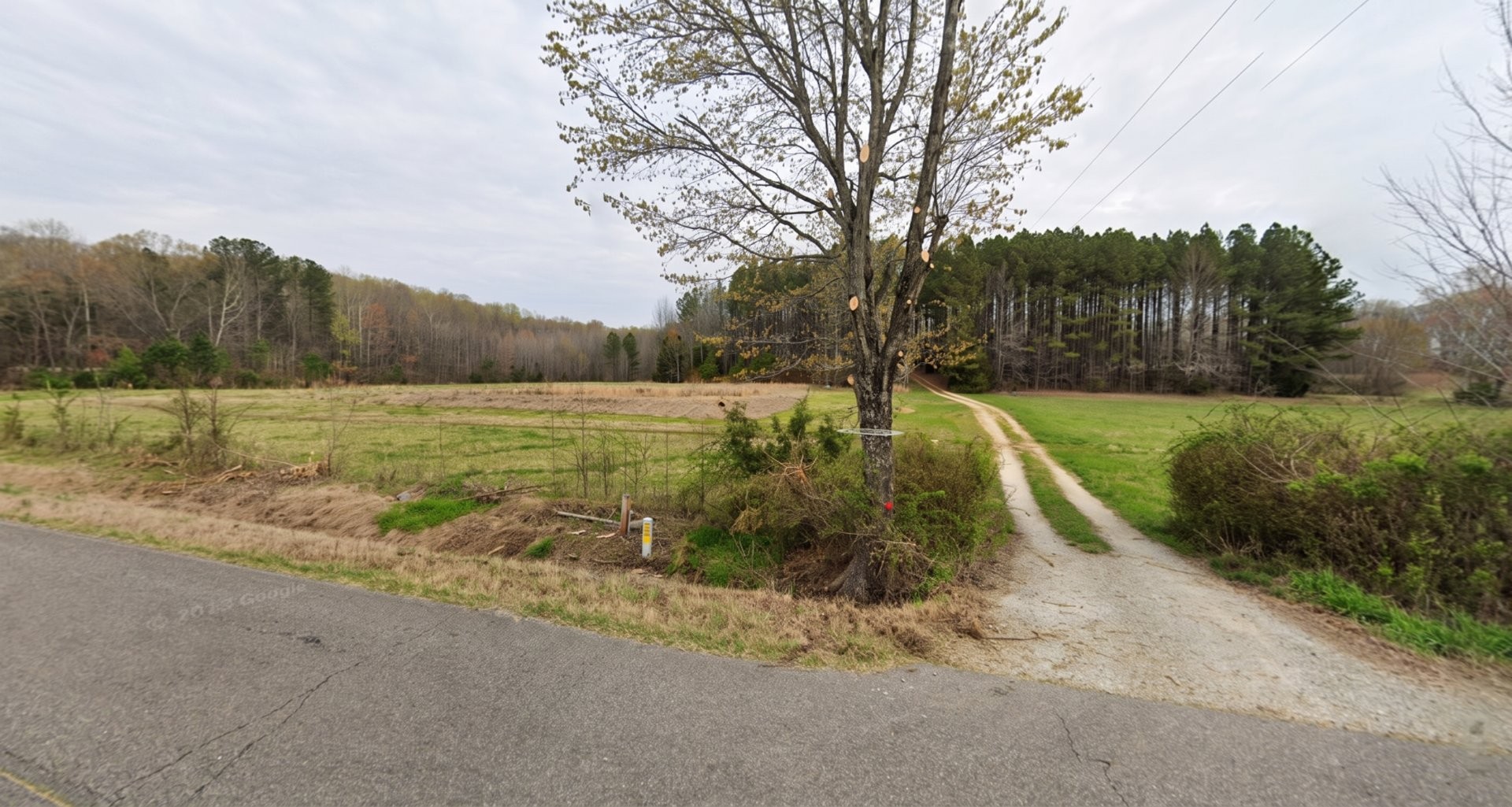 339 Idlewild Hollyleaf Rd Property Photo 2
