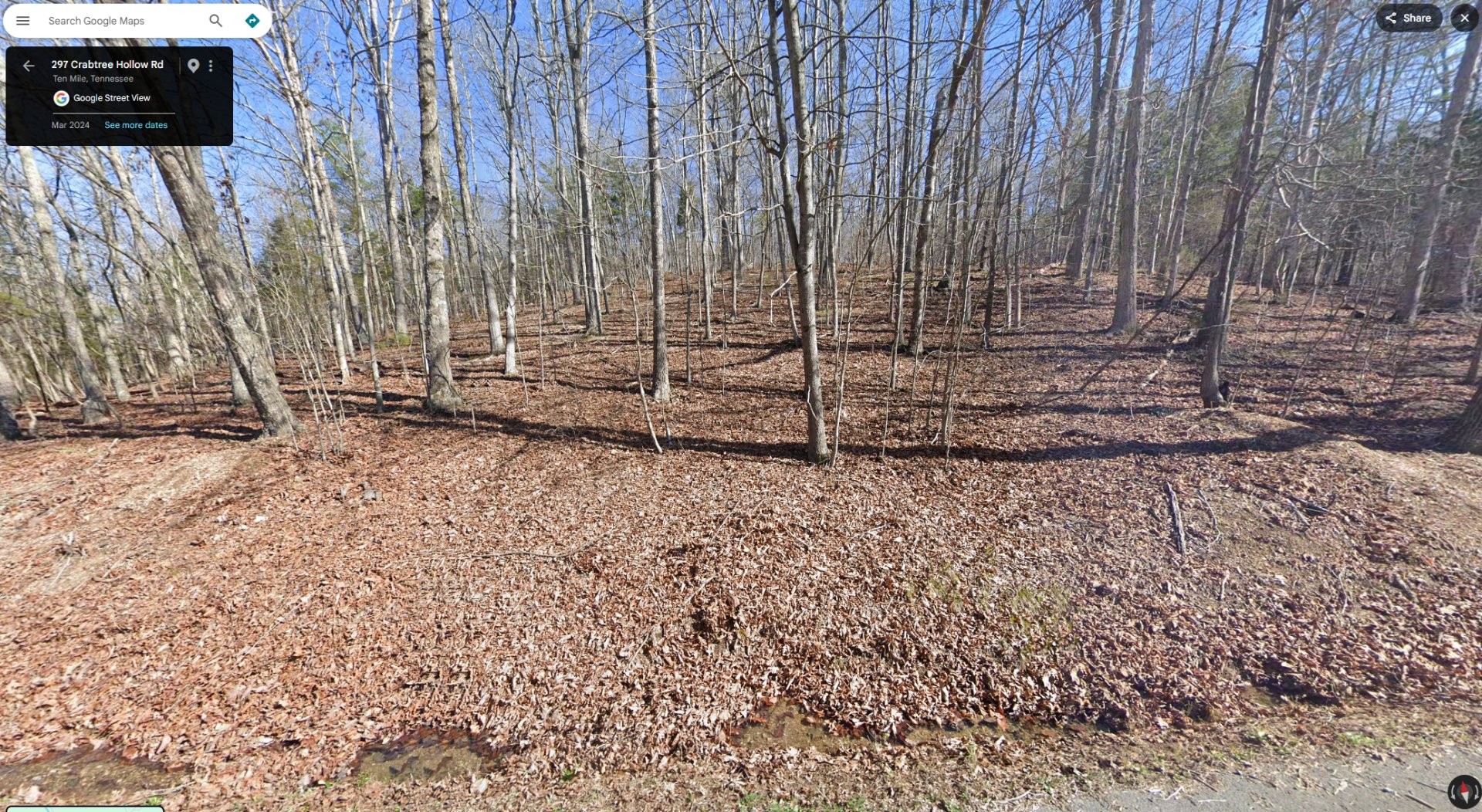 297 Crabtree Hollow Rd Property Photo 1