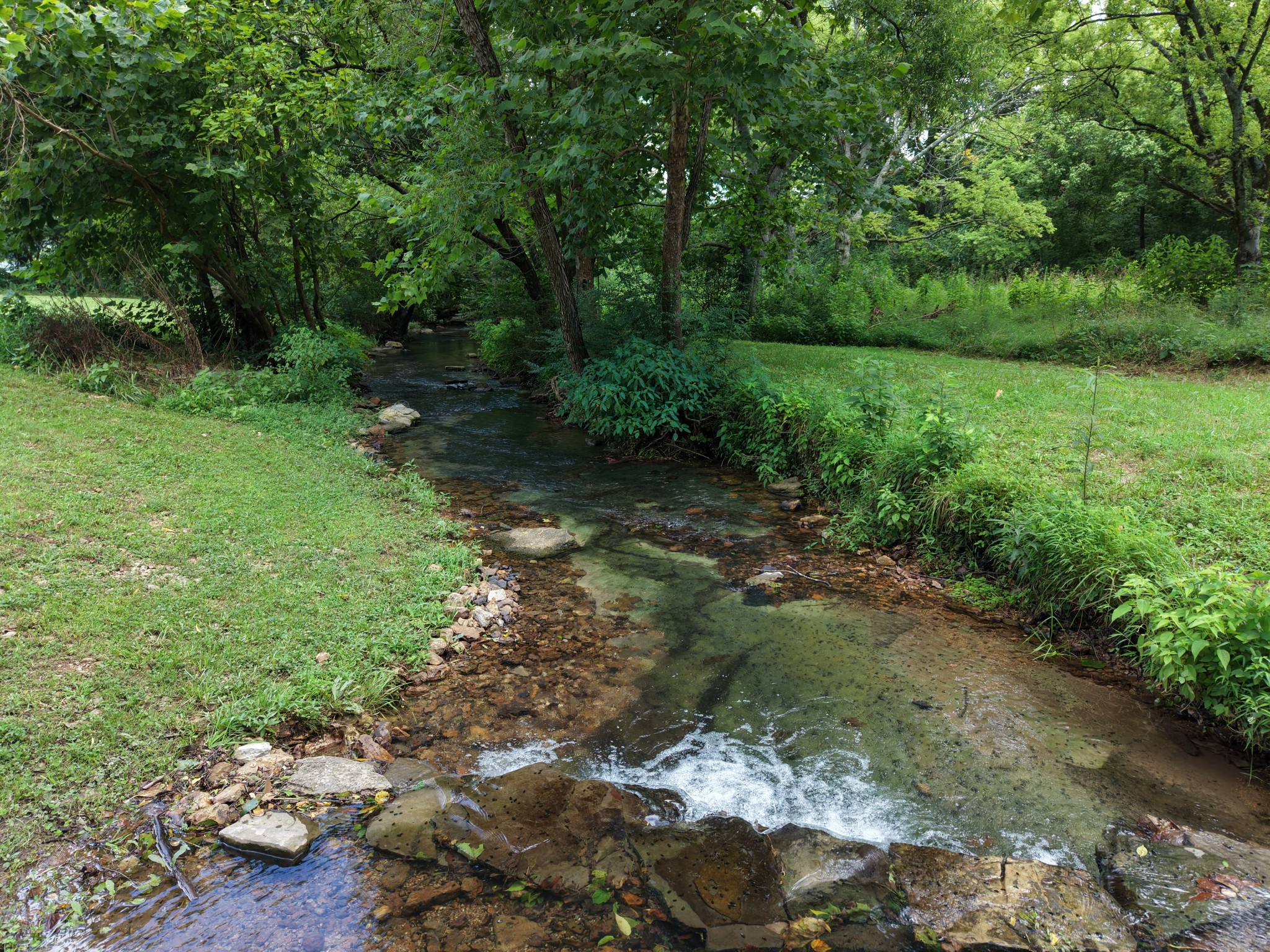 1655 Hurricane Creek Rd Property Photo 1