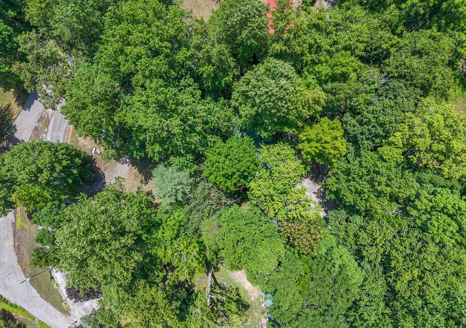 1908 Potts Camp Rd Property Photo 55