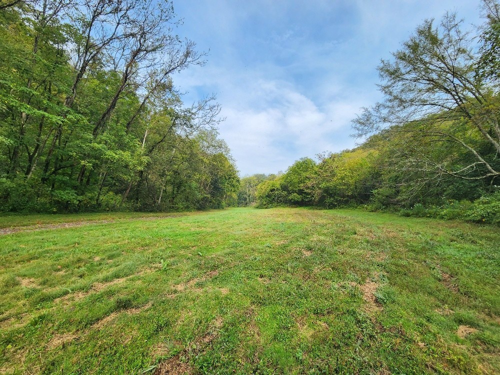 0 Webster Branch Ln Property Photo 1