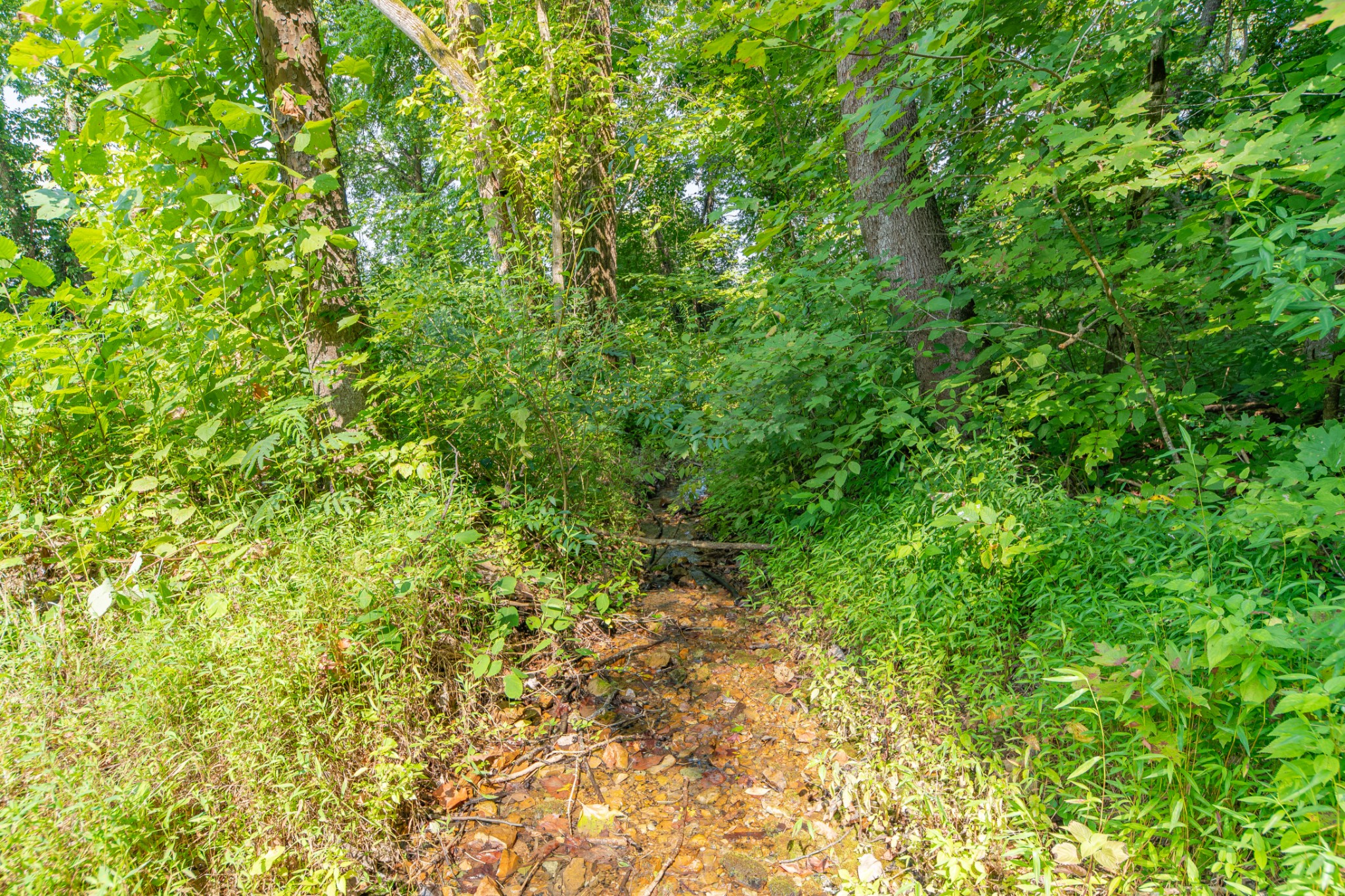 755 Briar Pond Rd Property Photo 21
