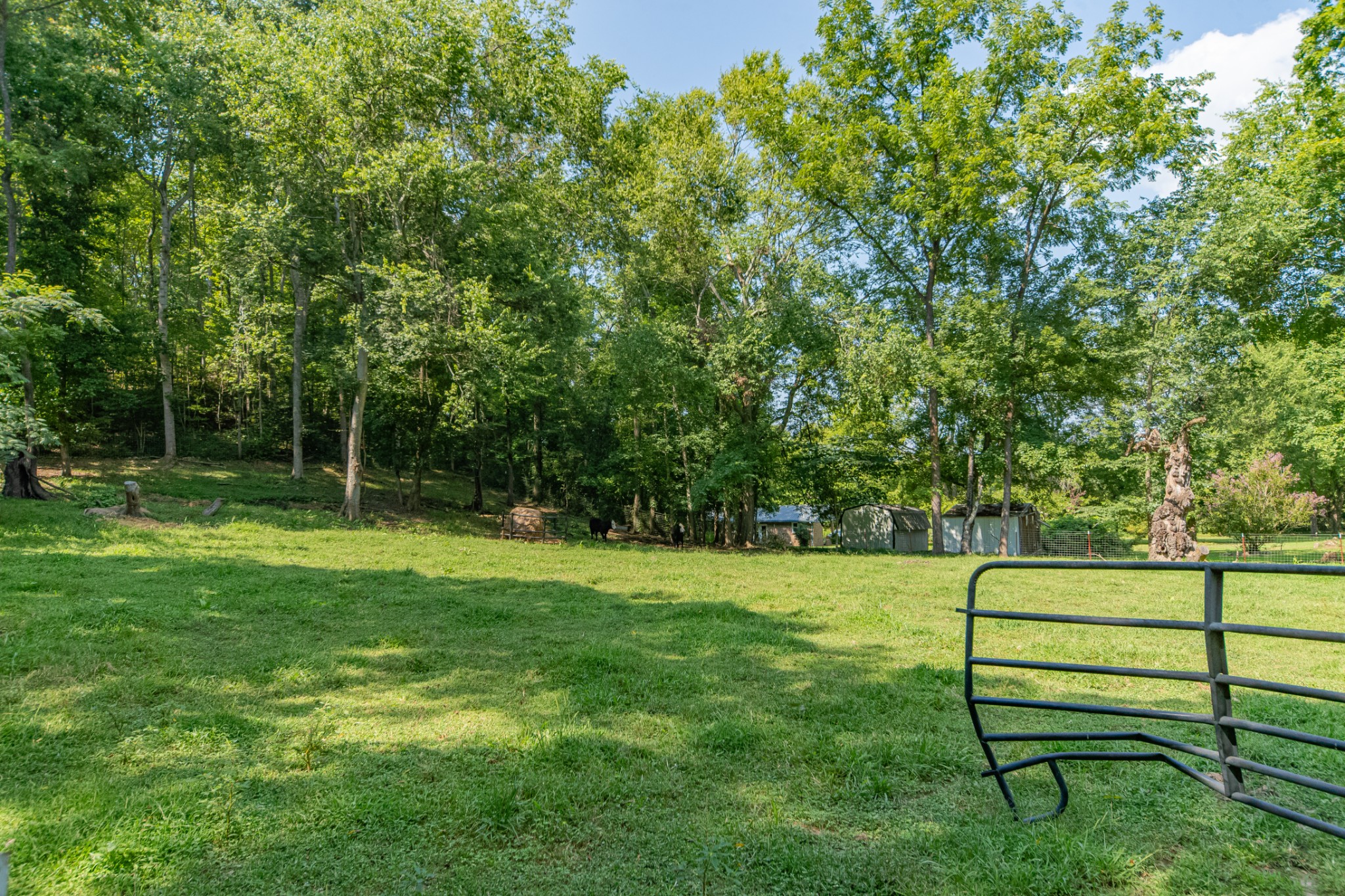 755 Briar Pond Rd Property Photo 81