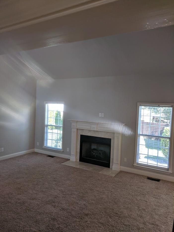 209 Artesa Dr Property Photo 10