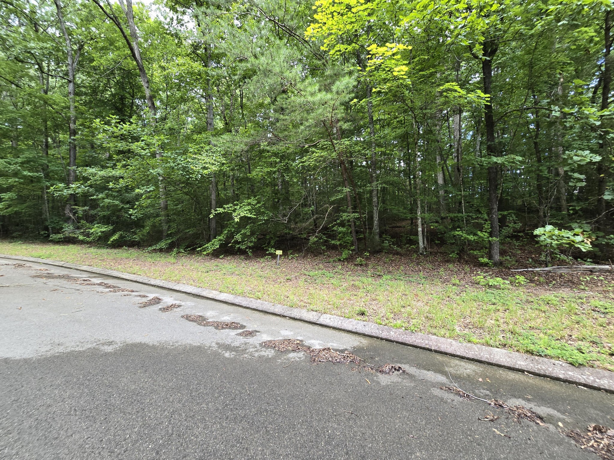 136 Lower Brow Road Property Photo 1