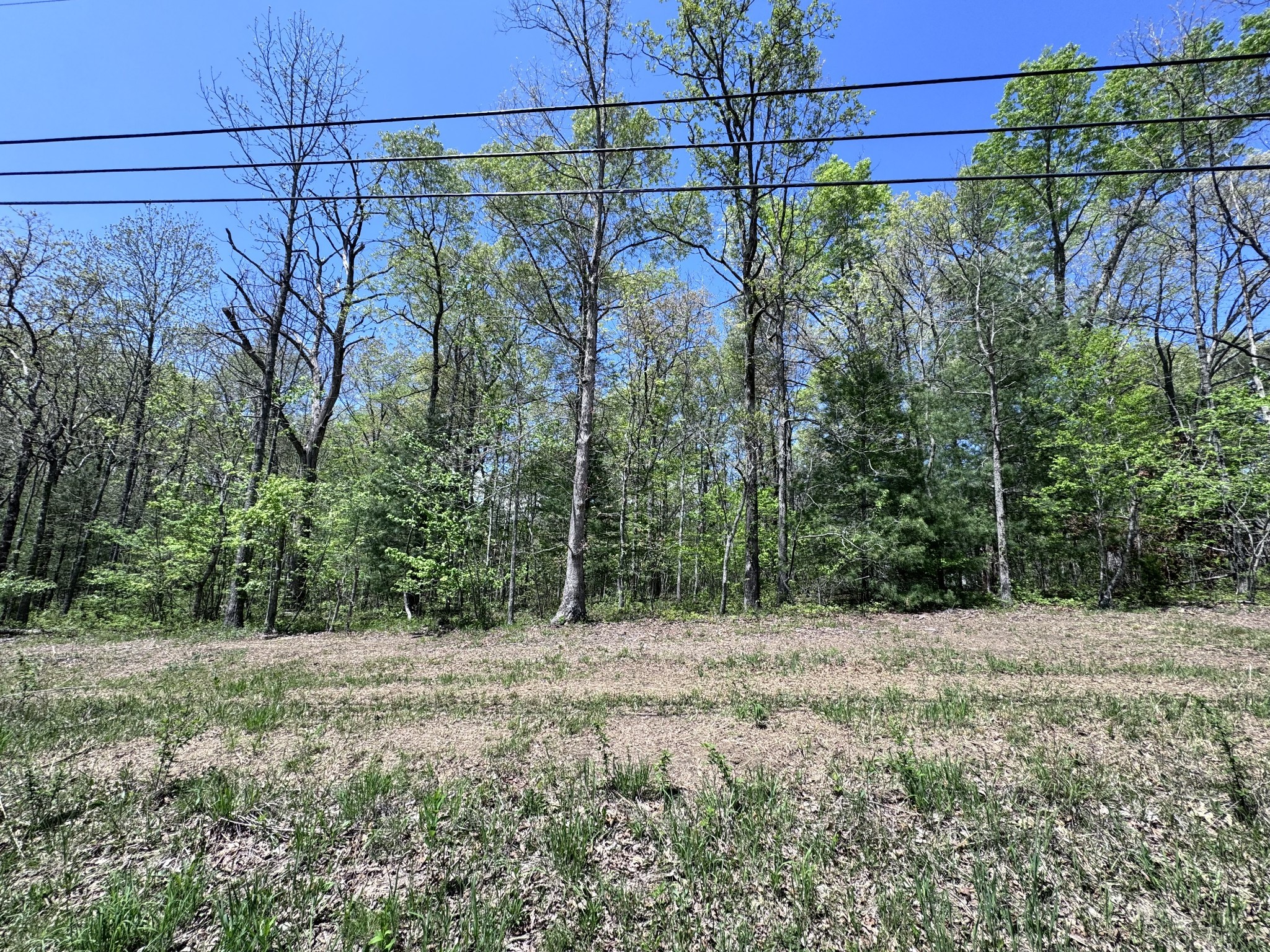1027 Natchez Trce Property Photo 1