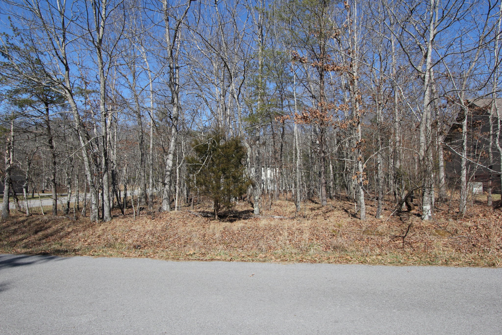 162 Exeter Dr Property Photo 6