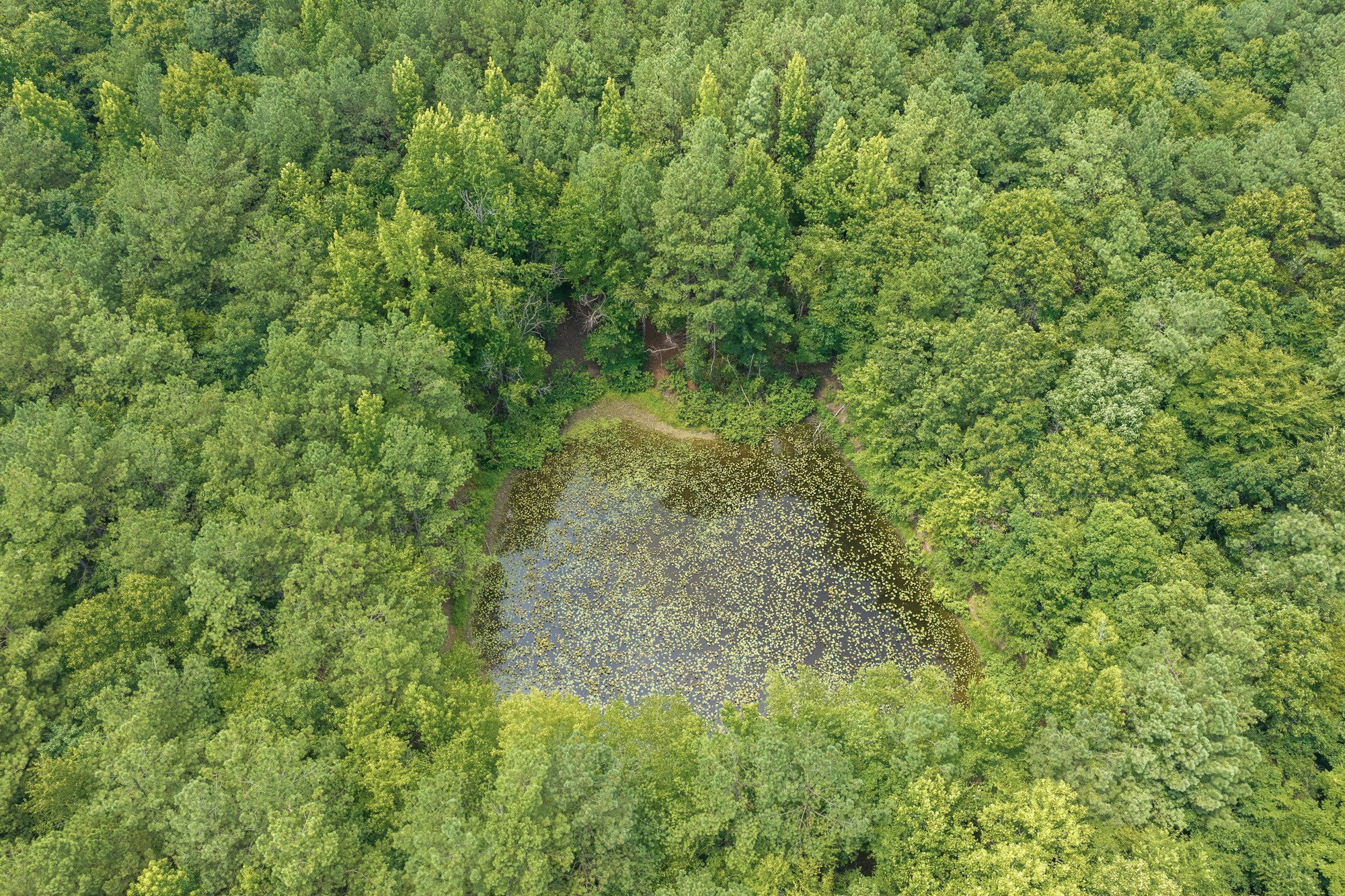 0 Highway 22a Property Photo 1