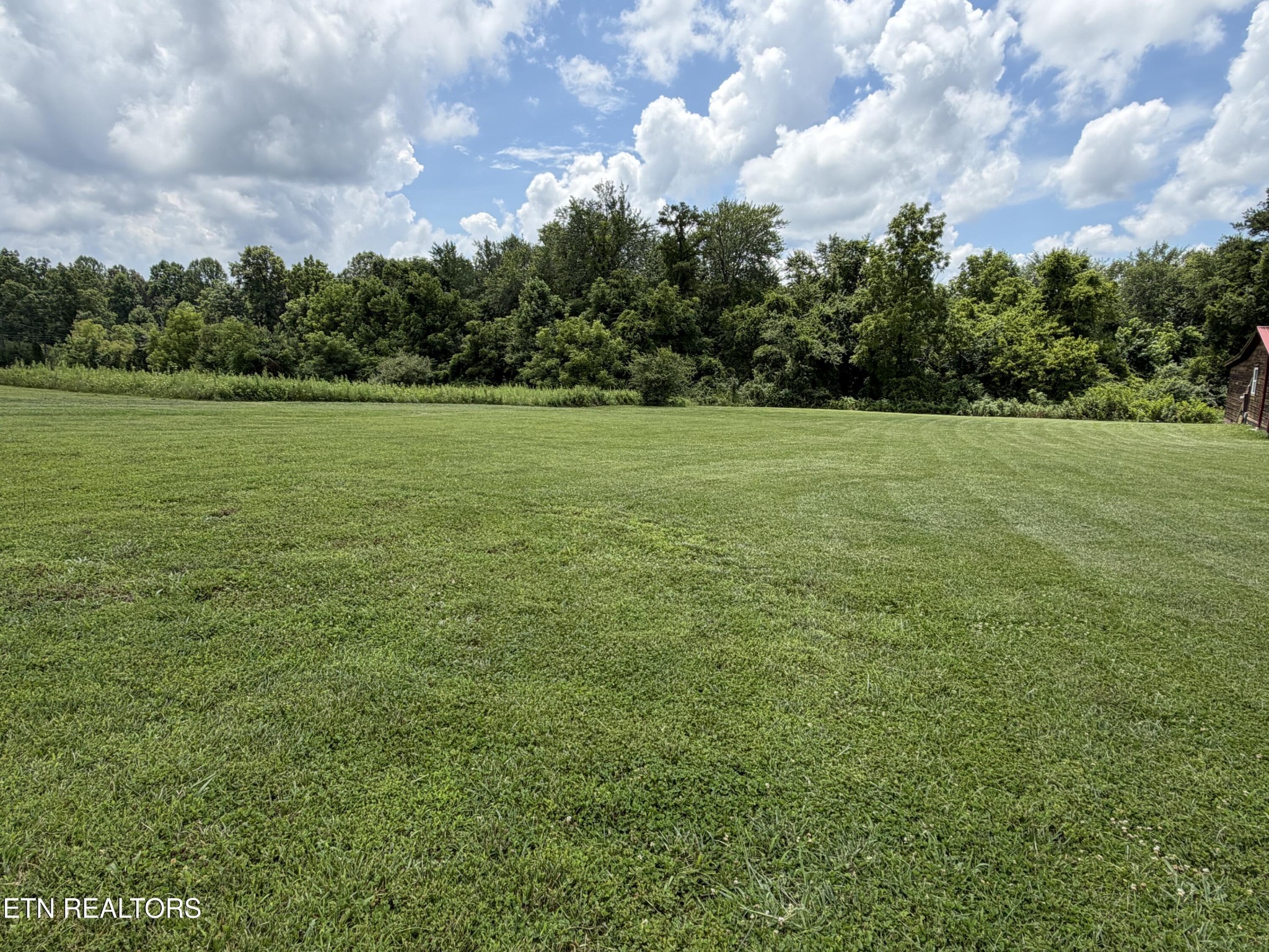 868 Fritzsche Loop Property Photo 7