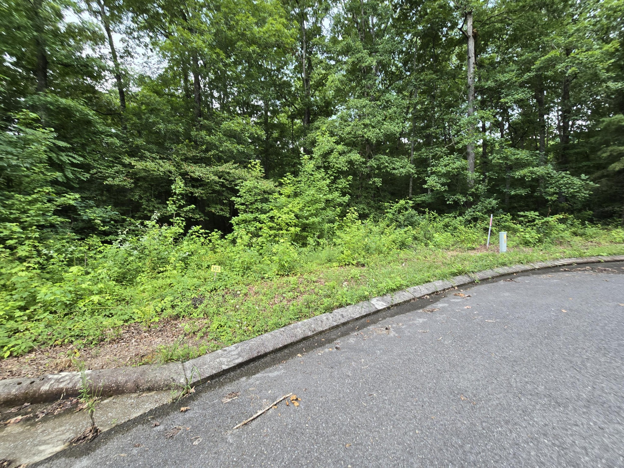 142 Lower Brow Road Property Photo 1
