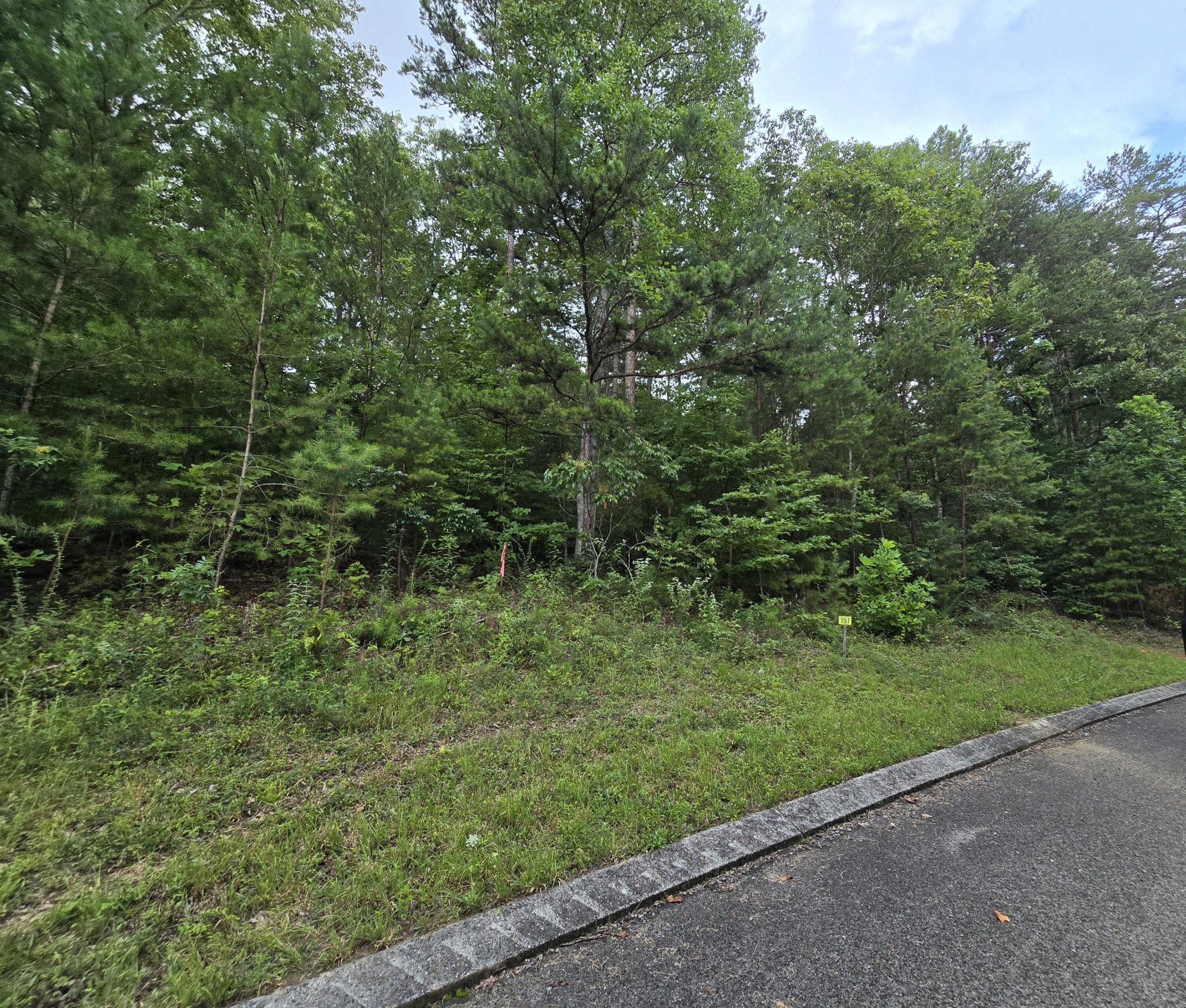 157 Lower Brow Road Property Photo 1