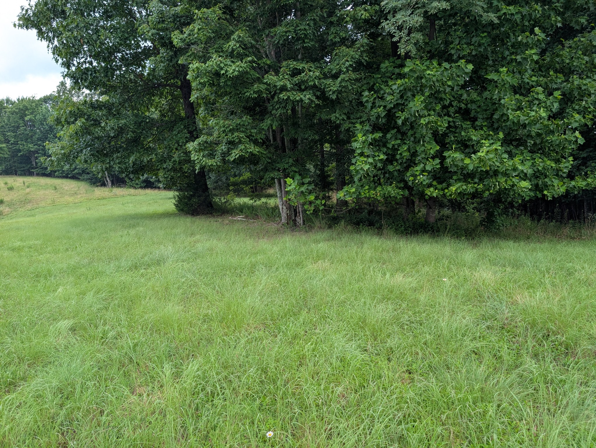 580 Preservation Dr Property Photo 1