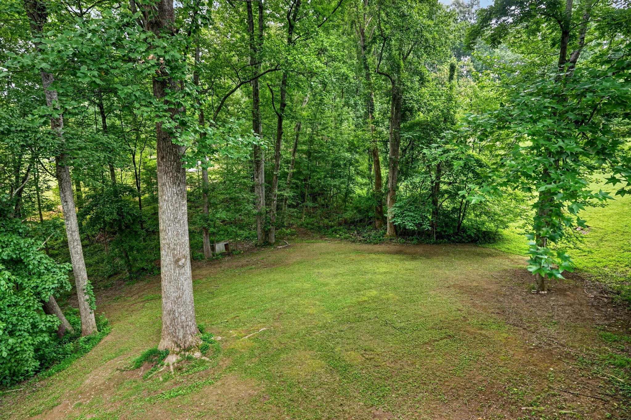 1545 Little John Ln Property Photo 38