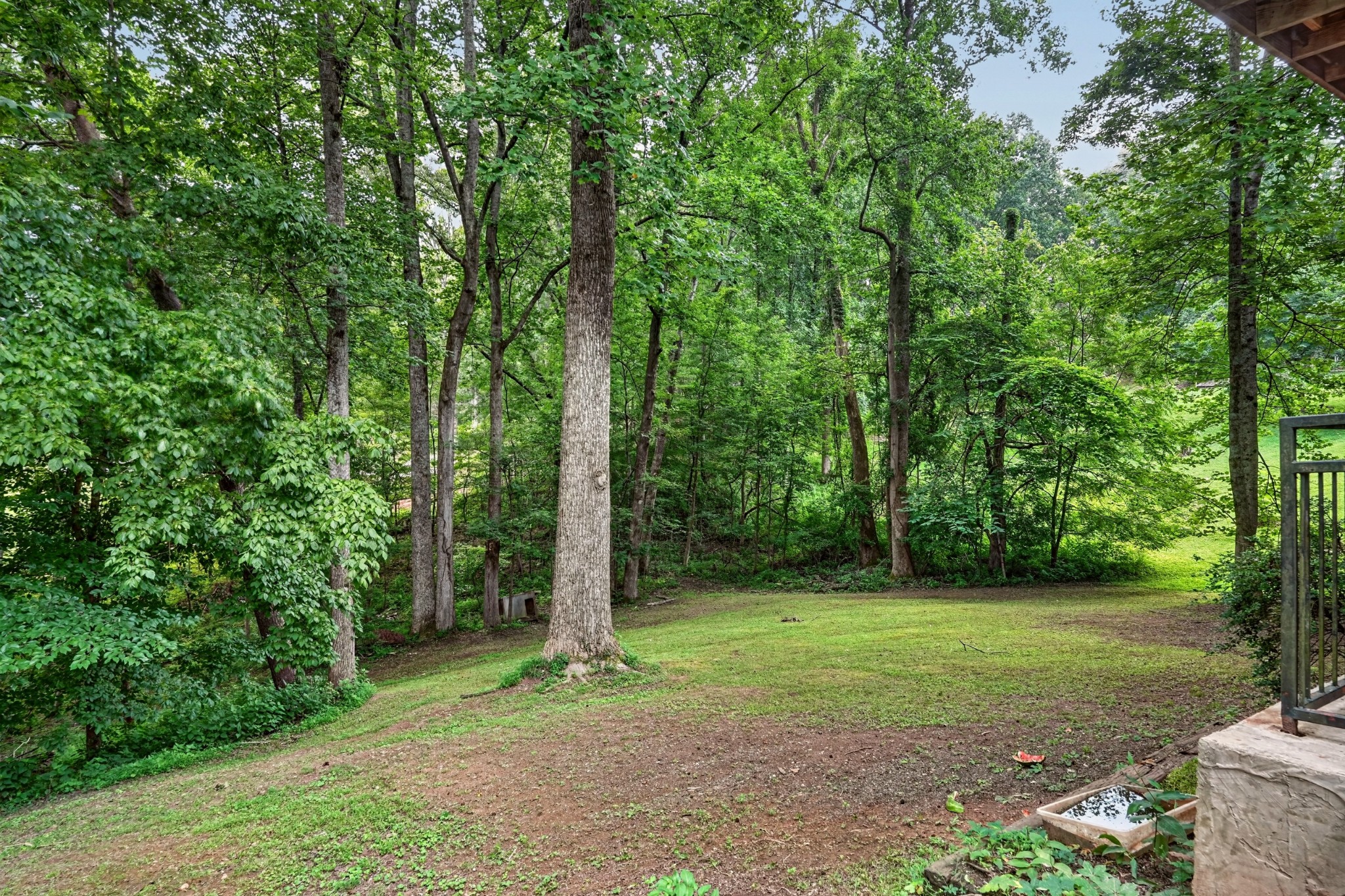 1545 Little John Ln Property Photo 50