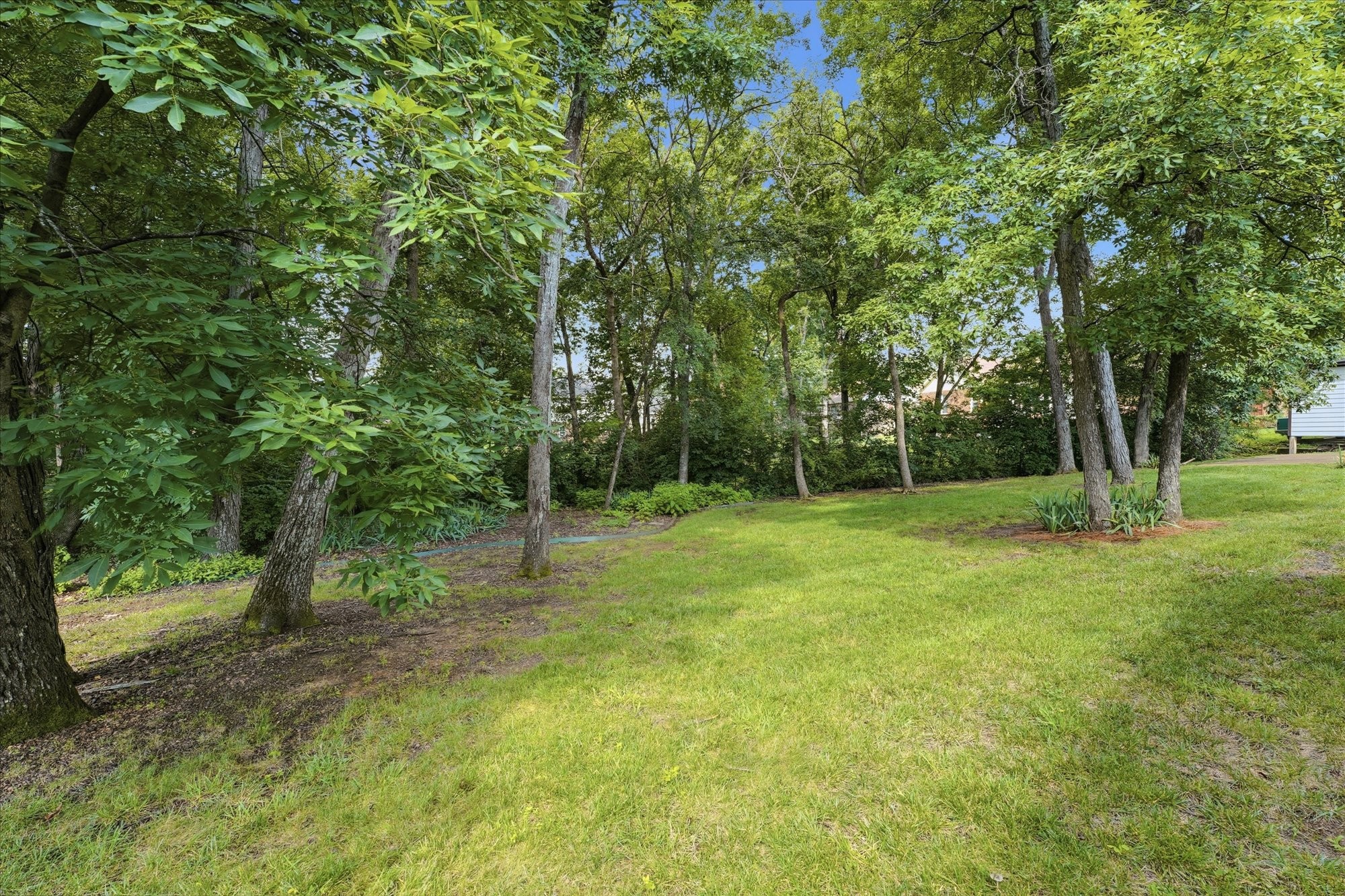 3204 Brookmont Cir Property Photo 30
