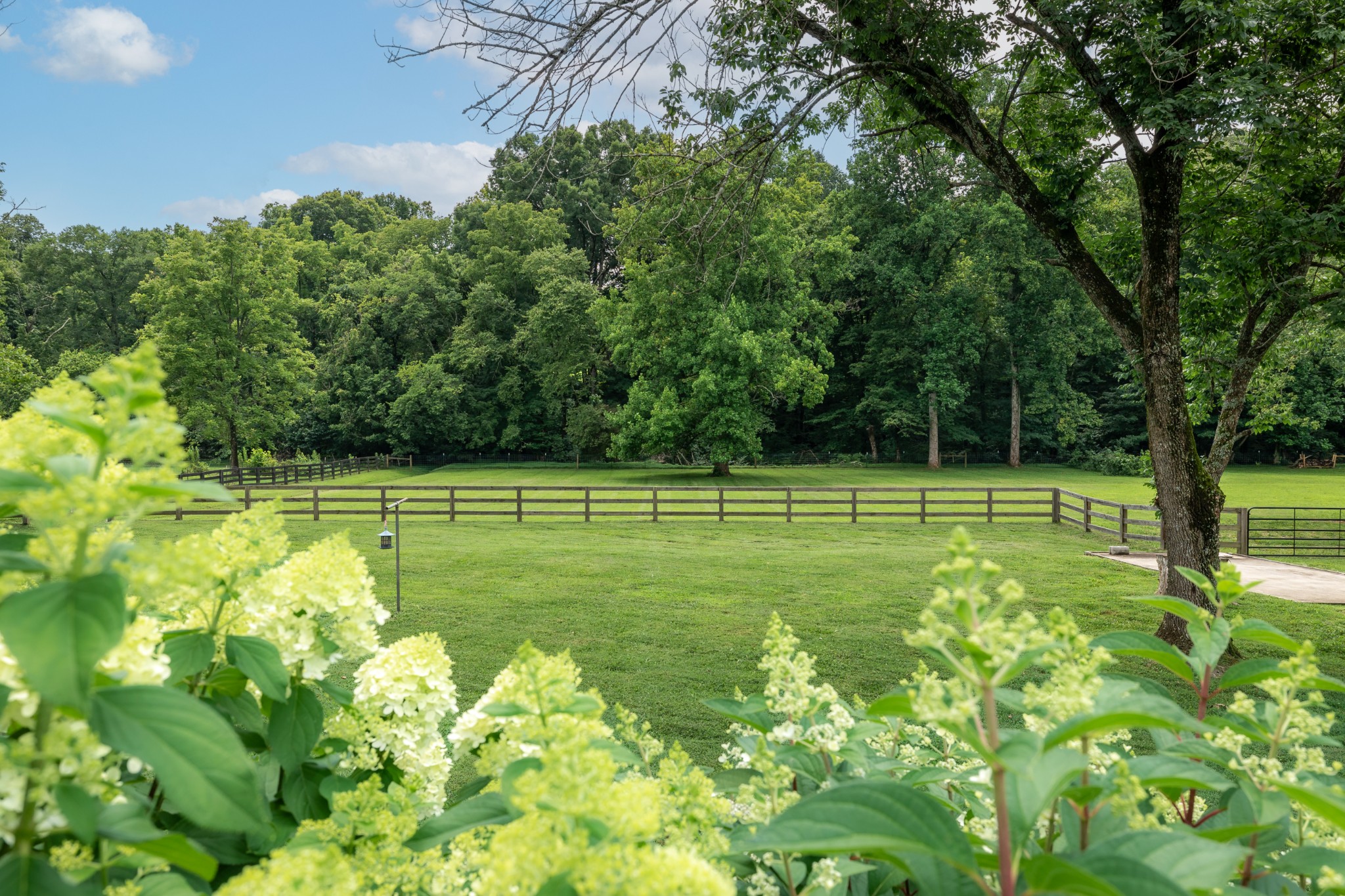 4439 Harpeth School Rd Property Photo 9