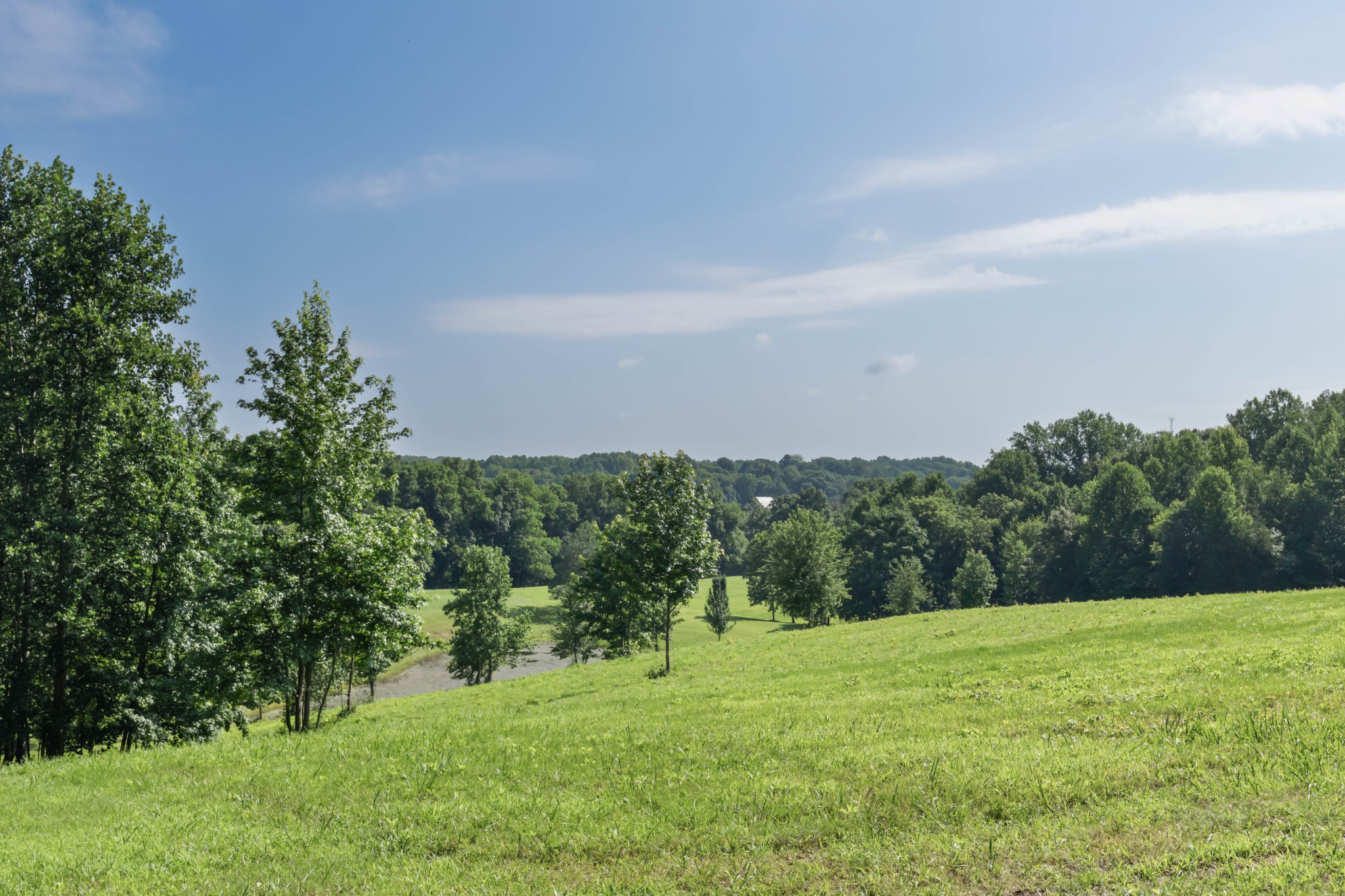 1025 Choate Rd Property Photo 58