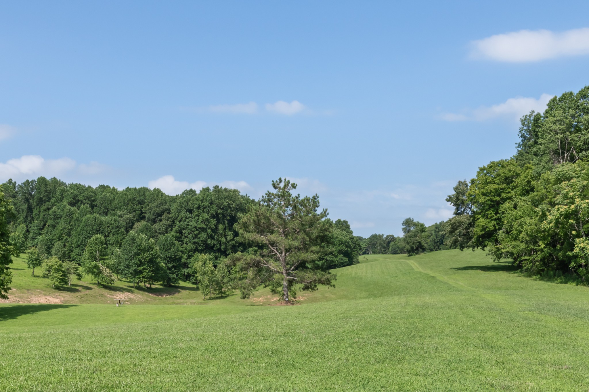 1025 Choate Rd Property Photo 59