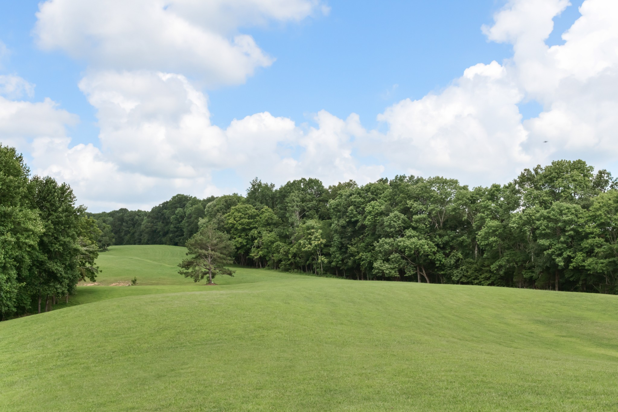 1025 Choate Rd Property Photo 60