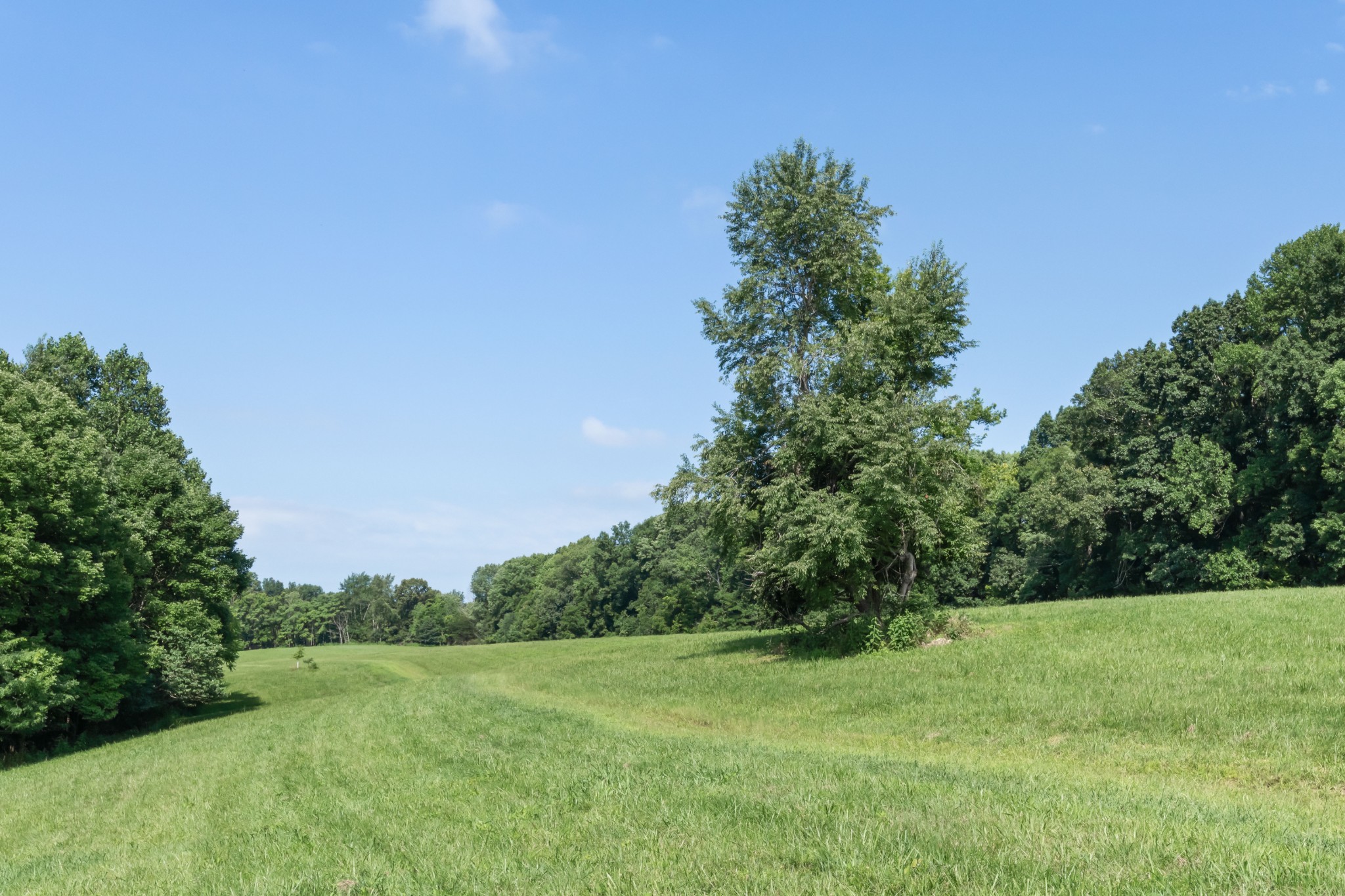 1025 Choate Rd Property Photo 68