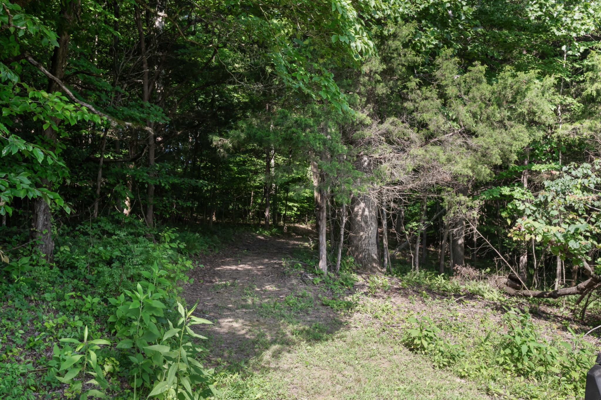 1025 Choate Rd Property Photo 71