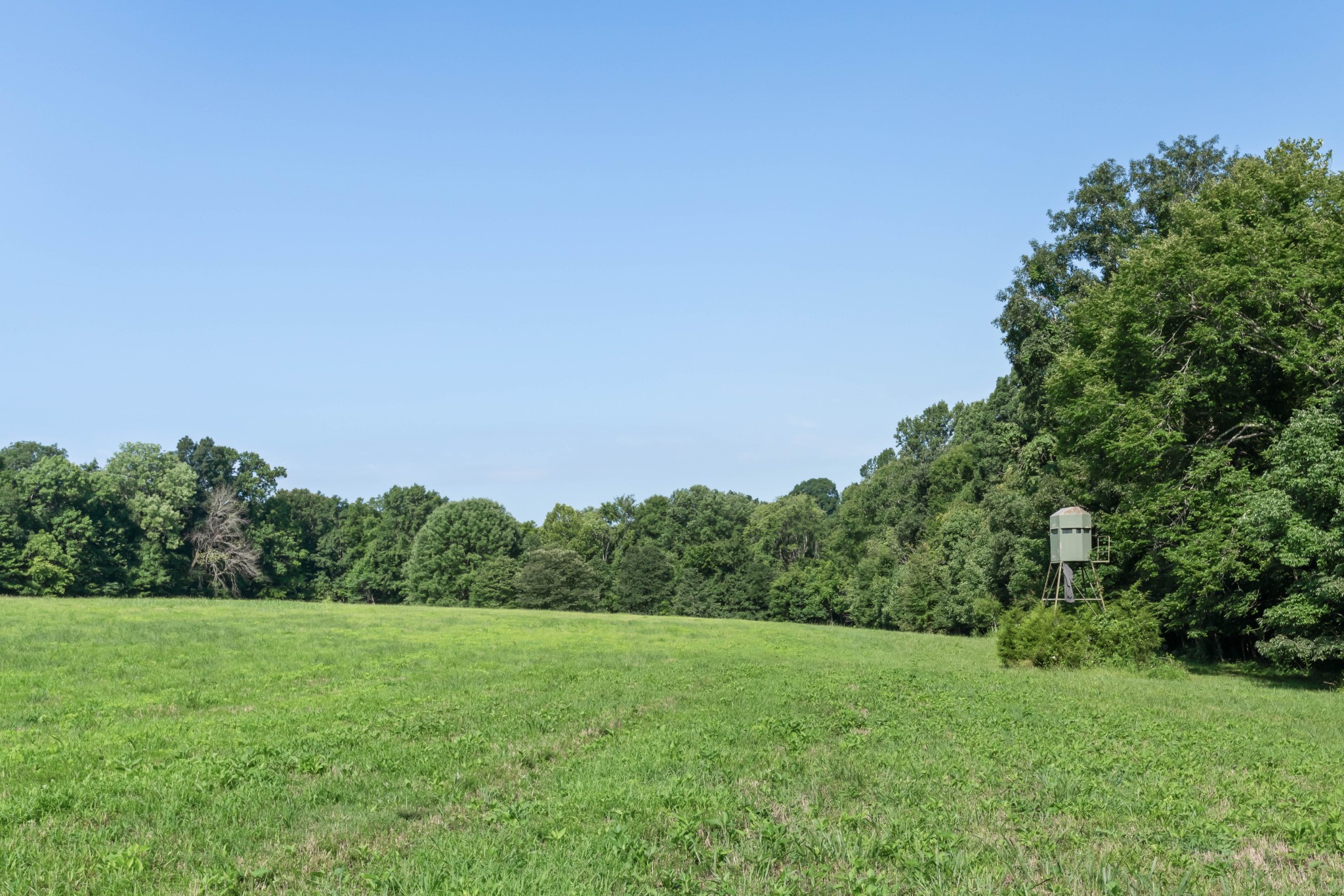 1025 Choate Rd Property Photo 89