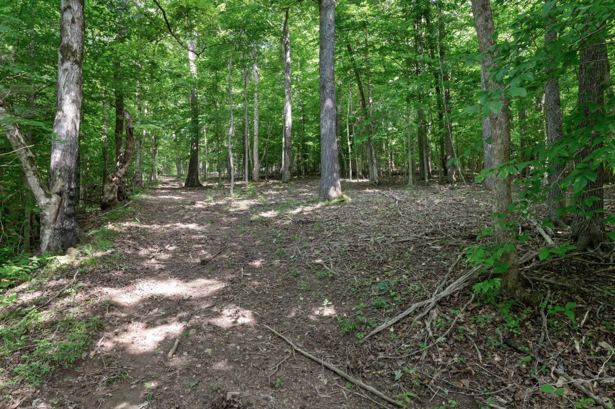 1025 Choate Rd Property Photo 91
