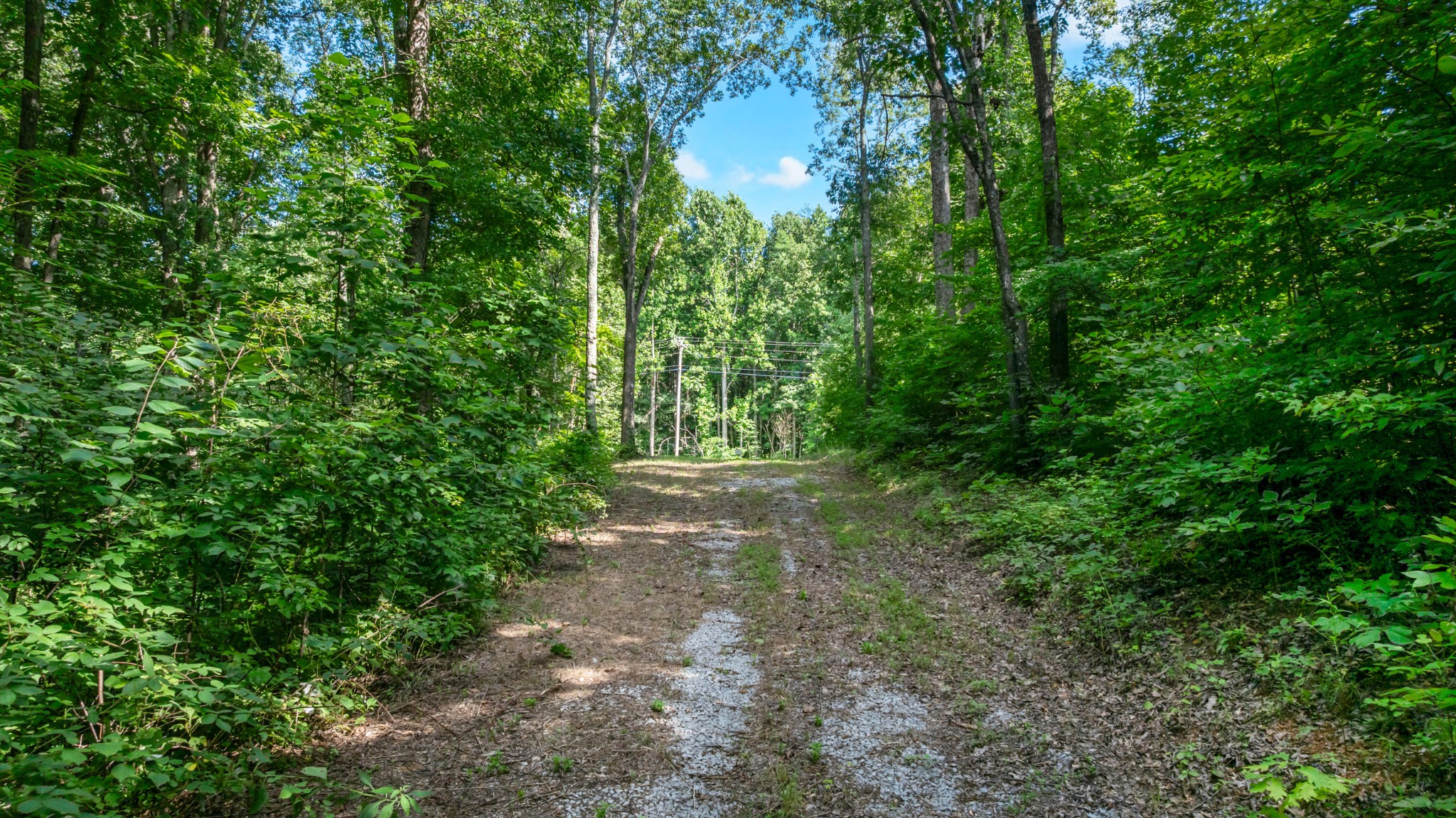 0 Coconut Ridge Road Property Photo 10