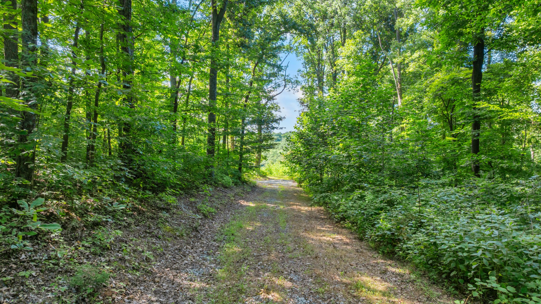 0 Coconut Ridge Road Property Photo 14