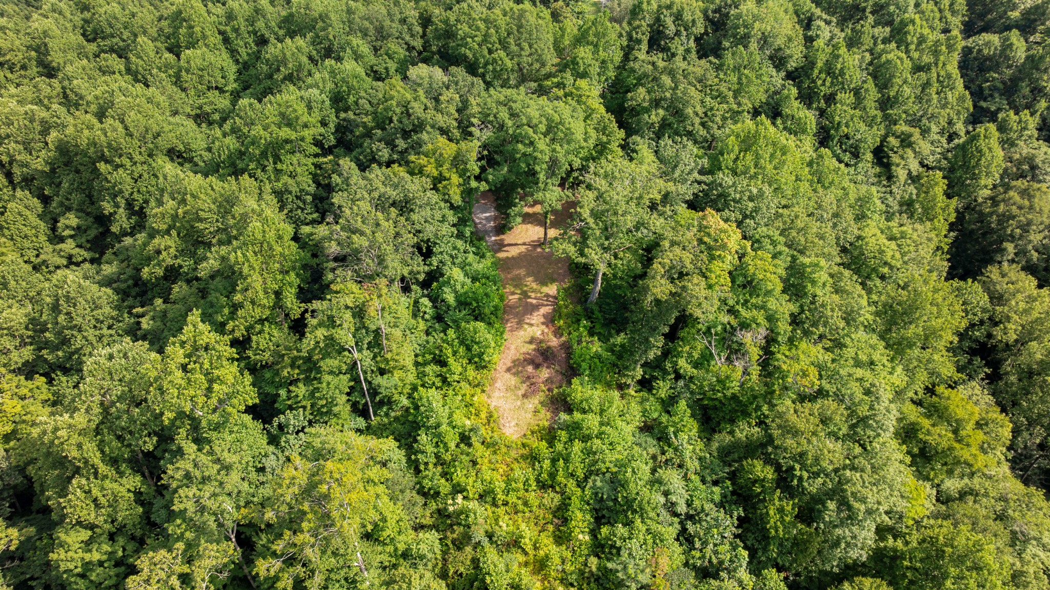 0 Coconut Ridge Road Property Photo 15