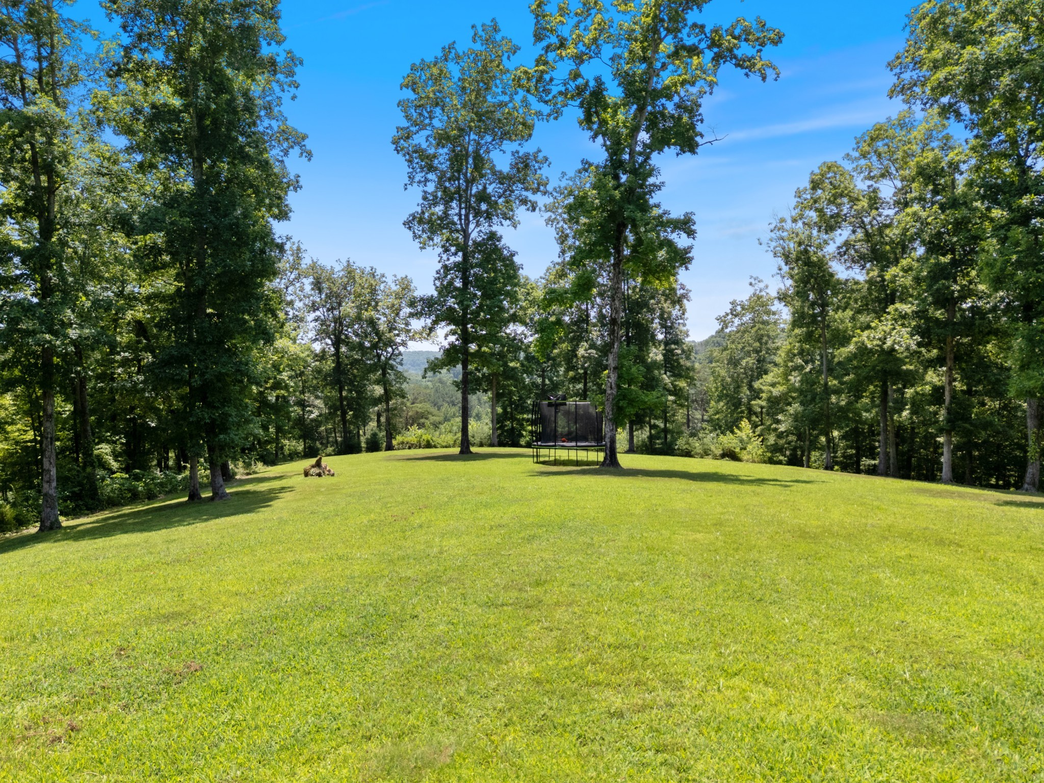1370 Leatherwood Rd Property Photo 5