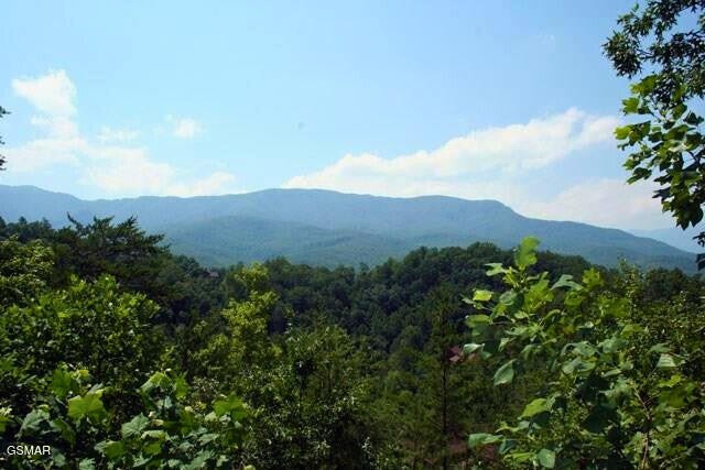 64 Vixen Run Property Photo 1