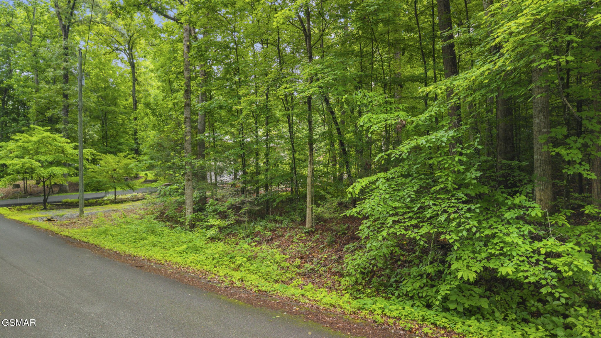 0 Peach Tree Street Property Photo 1