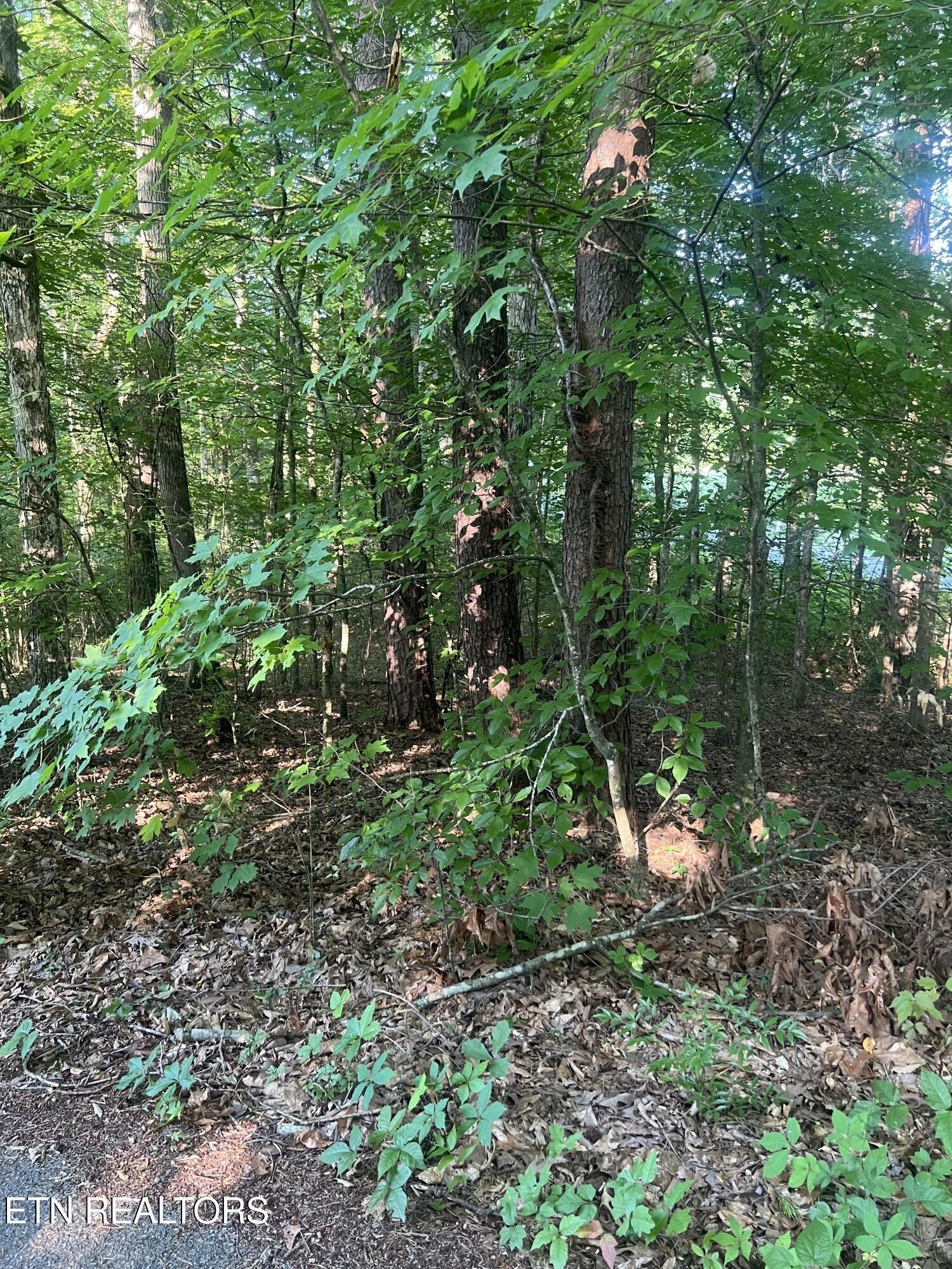 12308 Yarnell Rd Property Photo 1