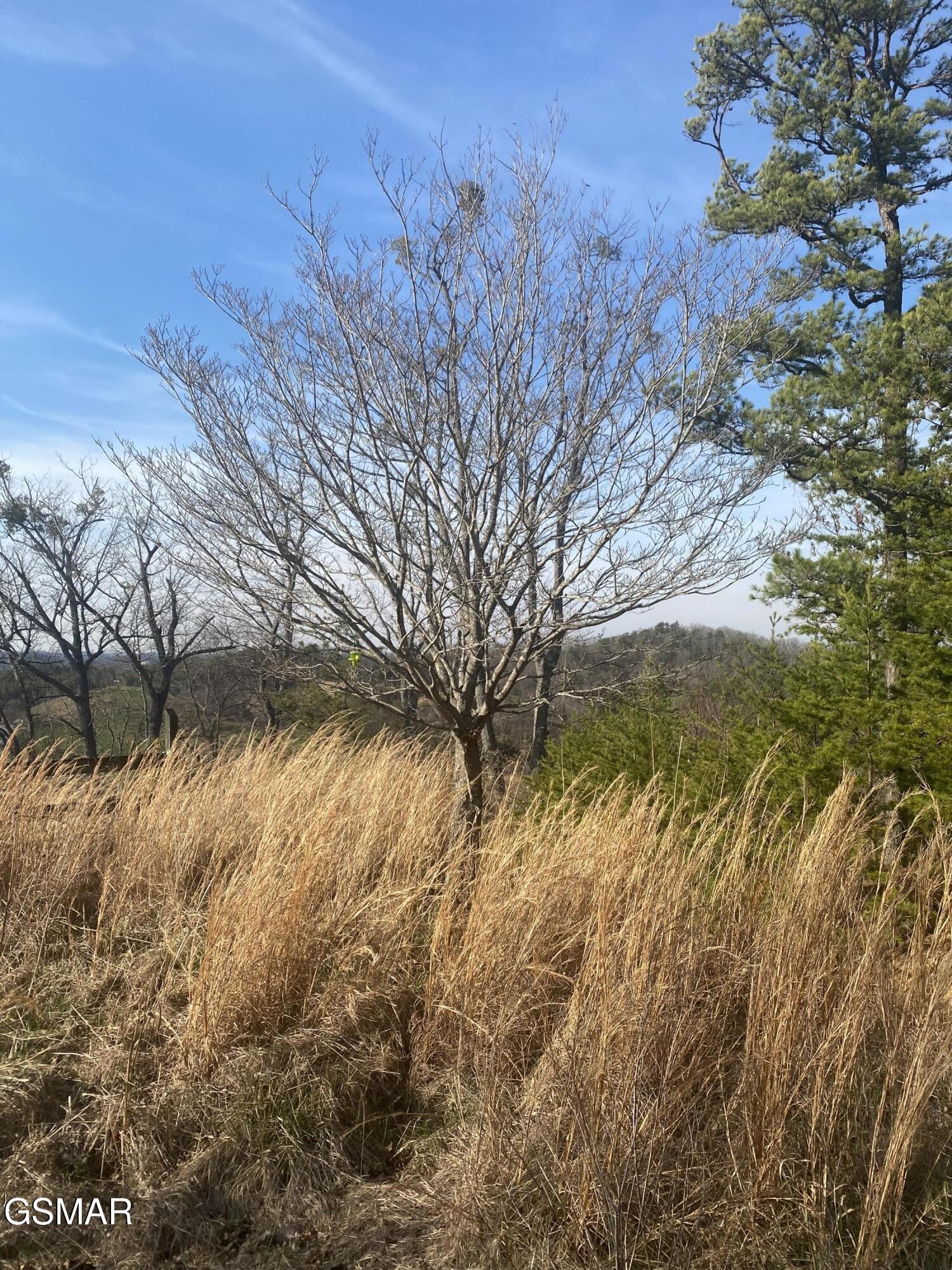 71 Goose Gap Property Photo 17