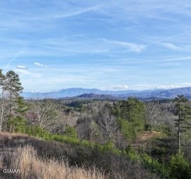 71 Goose Gap Property Photo 20