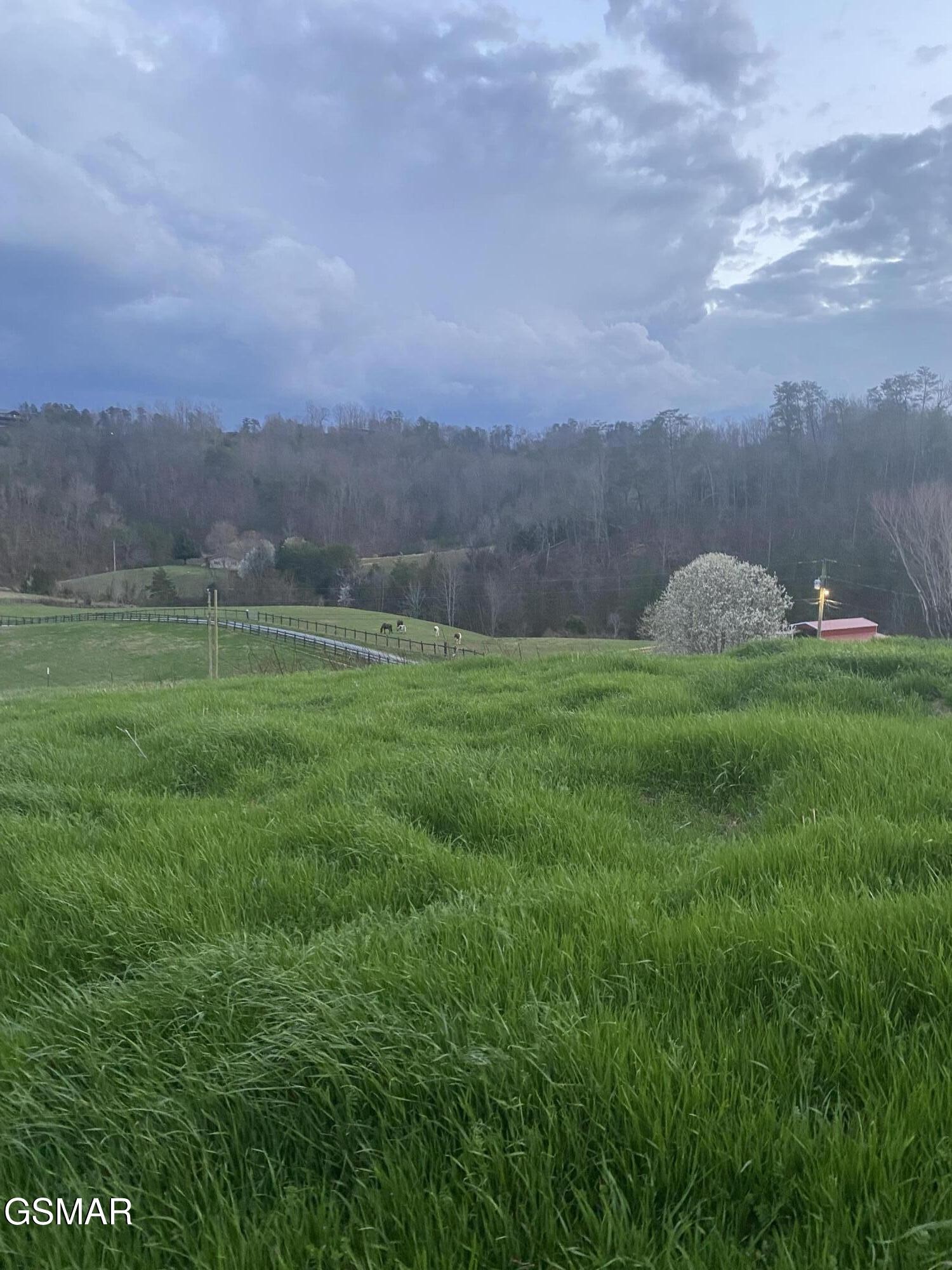 71 Goose Gap Property Photo 23