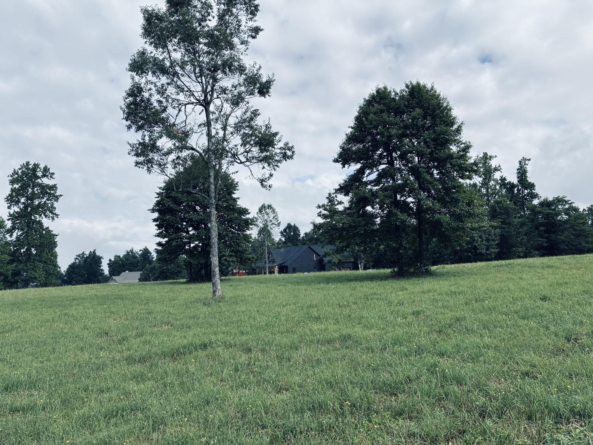 205 Raulston Falls Road Property Photo 1