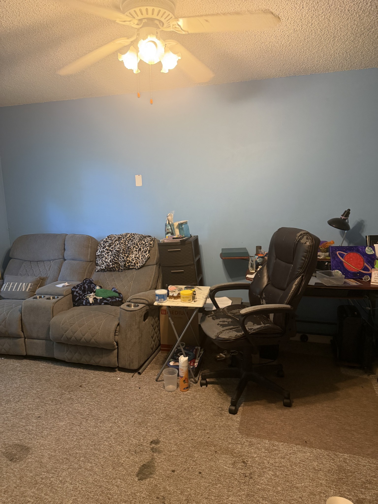 4020 Shufeld Ct Property Photo 10