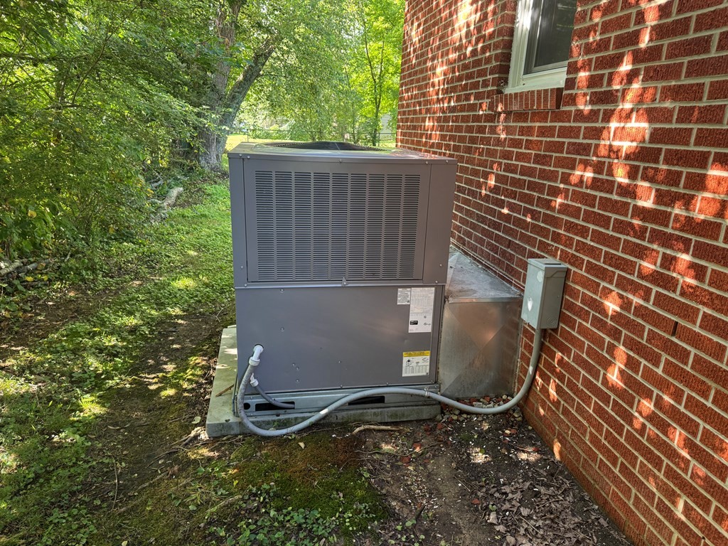 127 Davidson St Property Photo 24