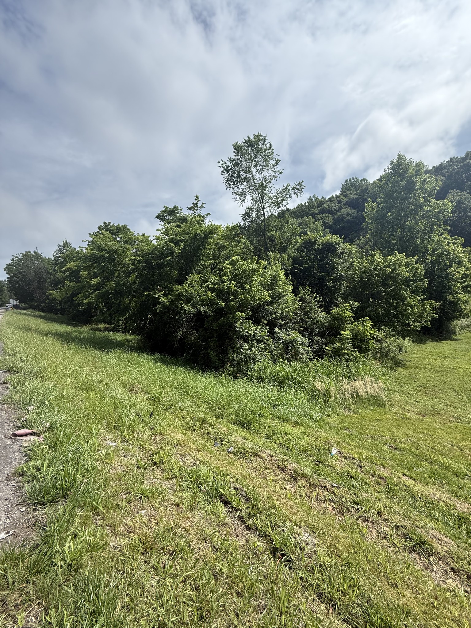 0 Highway 31 E Property Photo 2