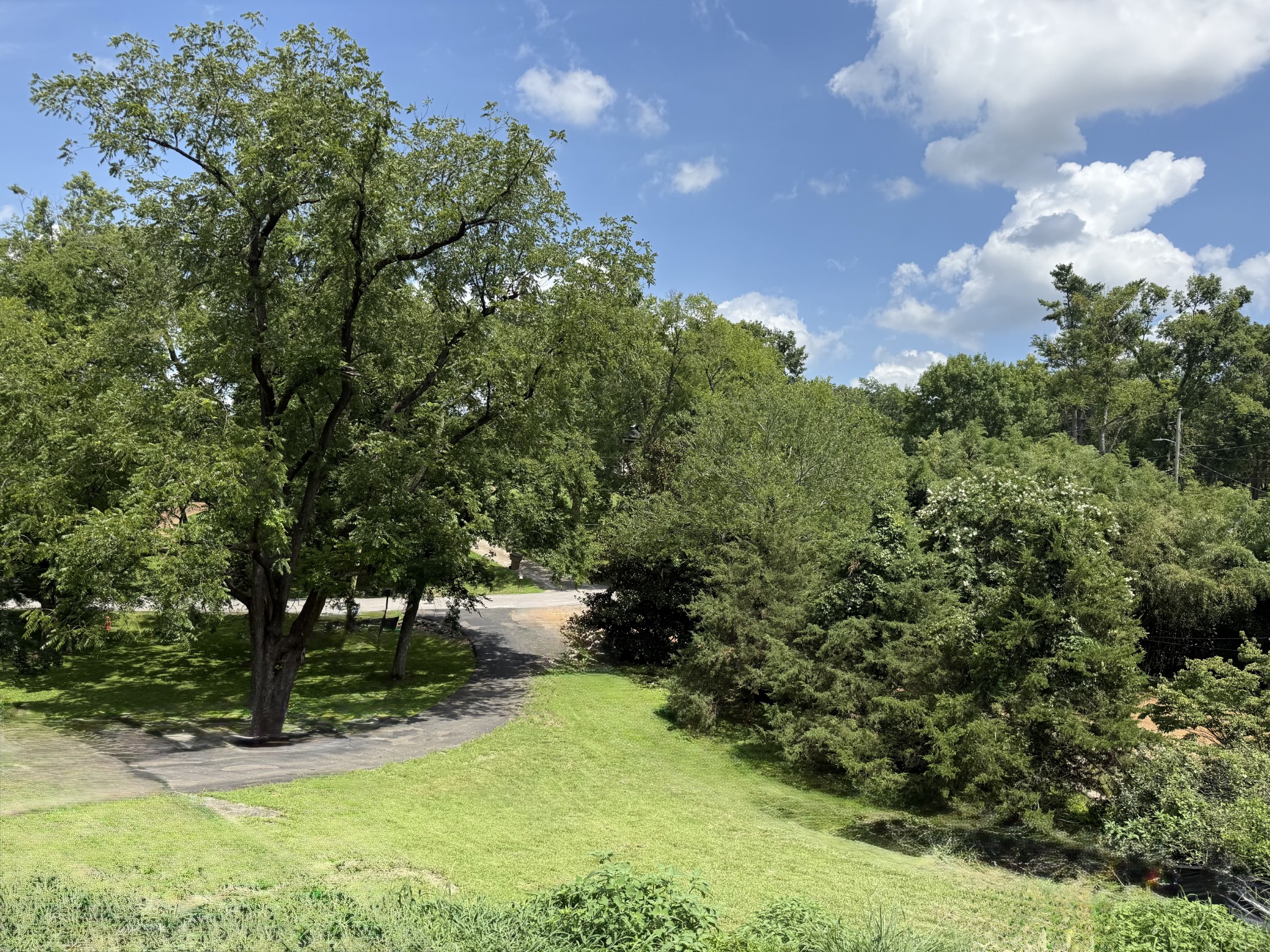 4119 Moss Rose Dr