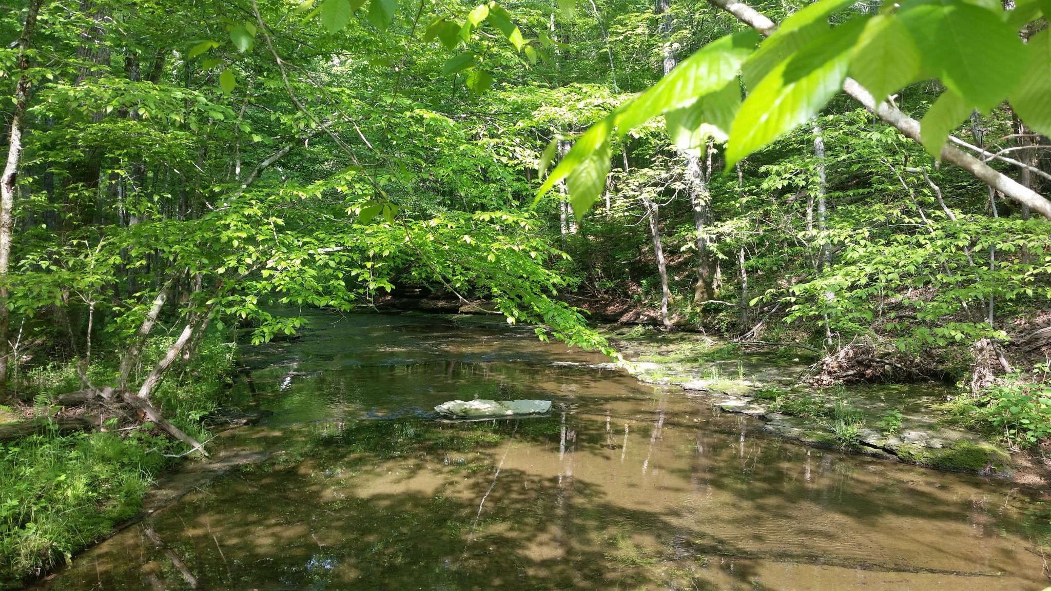 7454 Sugar Camp Hollow Rd Property Photo 34