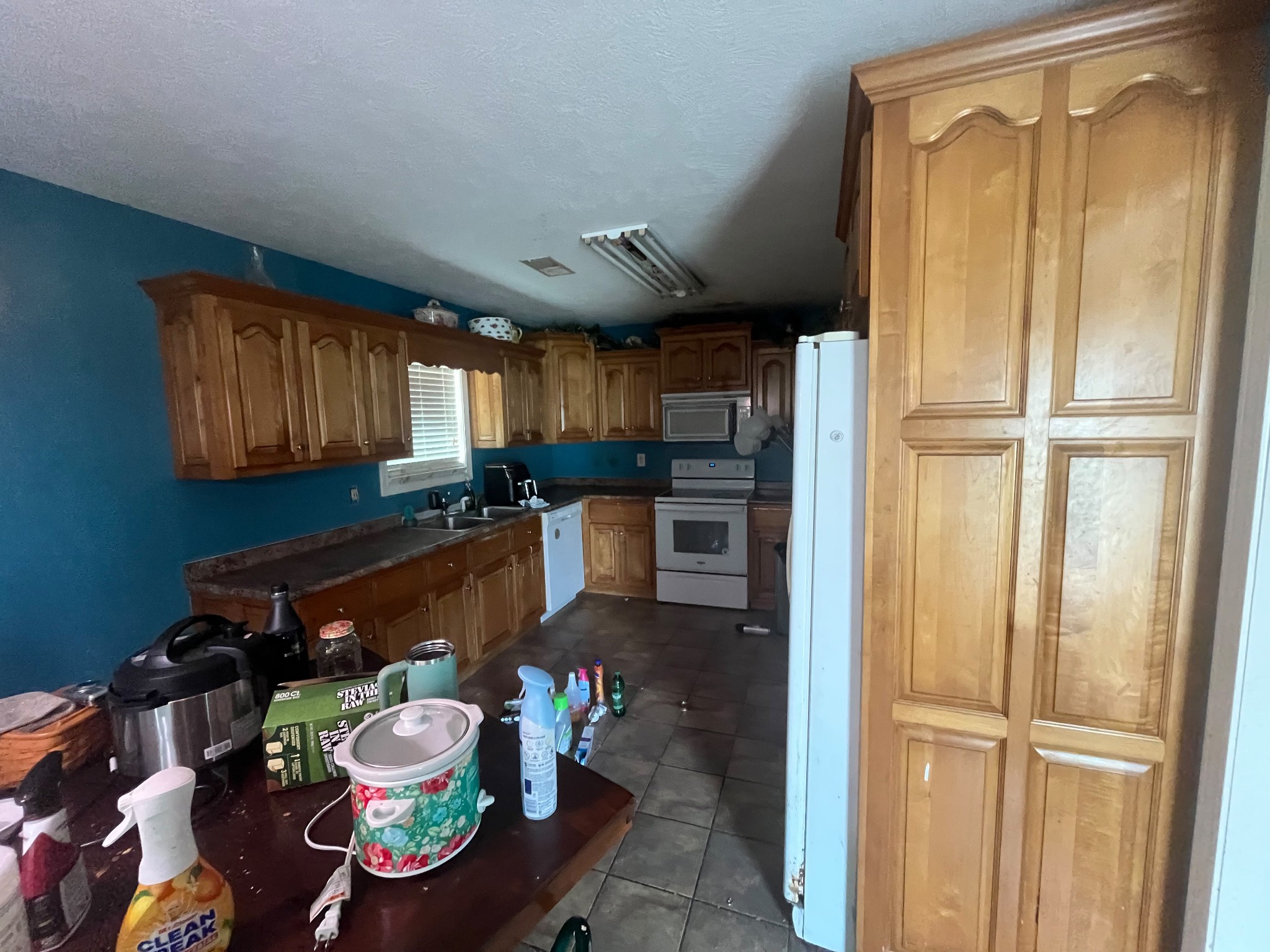 460 Kendyl Cv Property Photo 10