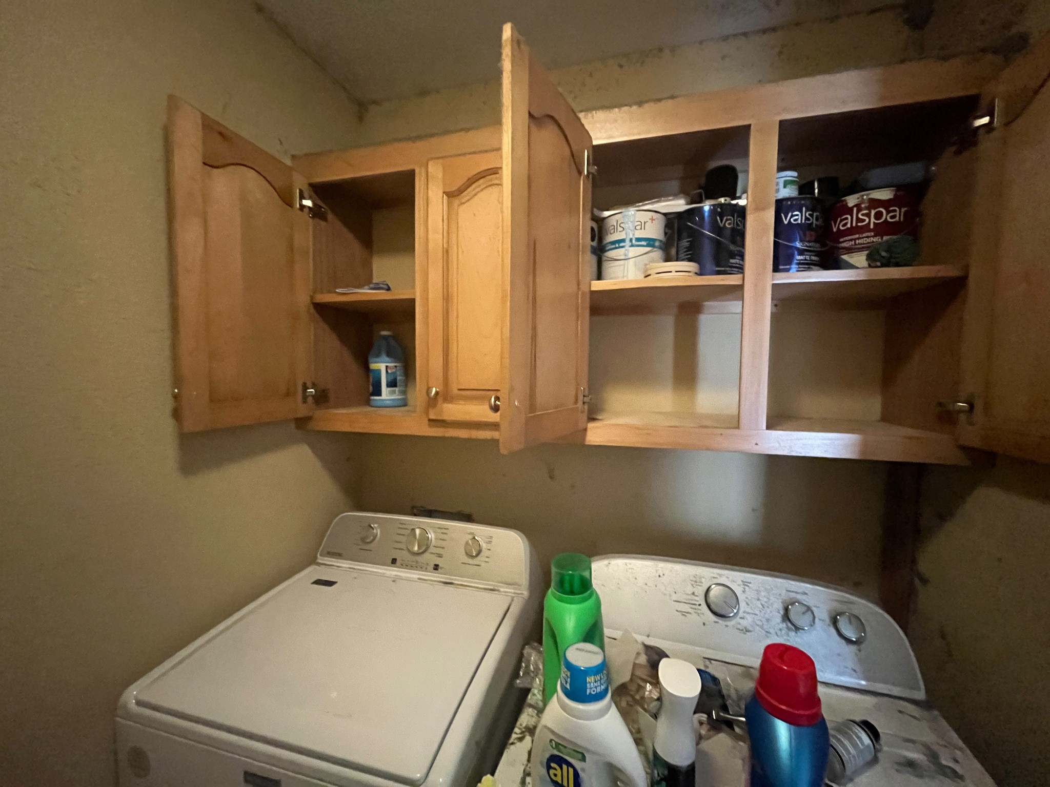 460 Kendyl Cv Property Photo 19